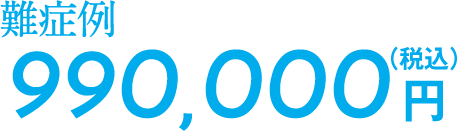 990,000円(税込)